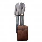 ルイ・ヴィトン　ペガス 55　トロリーバッグ　LOUIS VUITTON　(N23294)　ダミエ