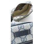 グッチ GUCCI ショルダーバッグ/ななめがけ GG柄PVC/GGプラス ベージュ×ブルー 201448 KGDIN 4075