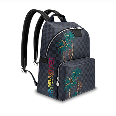 ルイヴィトンLouis Vuitton  アポロ・バックパック  カジュアル N50003