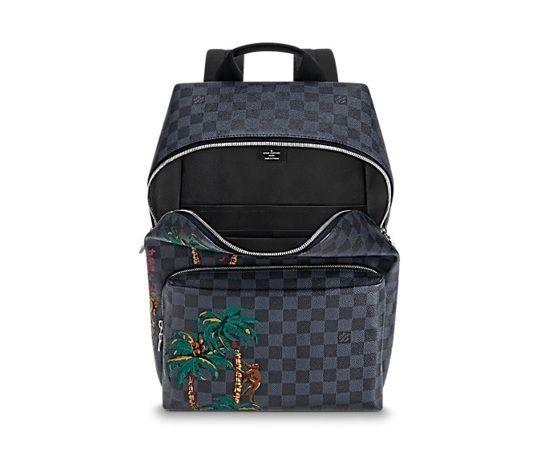 ルイヴィトンLouis Vuitton  アポロ・バックパック  カジュアル N50003