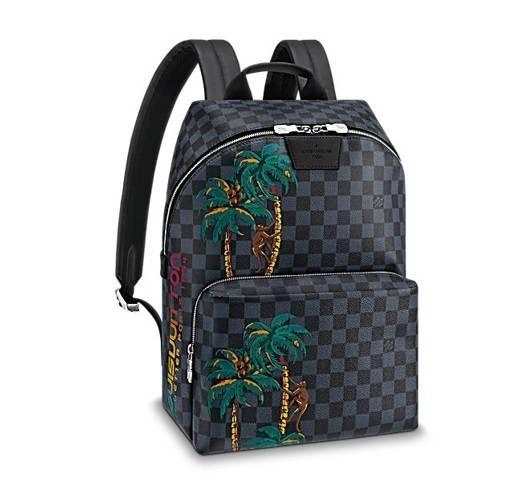 ルイヴィトンLouis Vuitton  アポロ・バックパック  カジュアル N50003