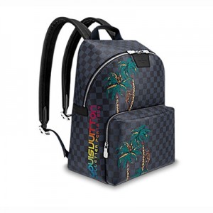ルイヴィトンLouis Vuitton  アポロ・バックパック  カジュアル N50003