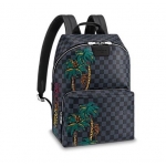 ルイヴィトンLouis Vuitton  アポロ・バックパック  カジュアル N50003