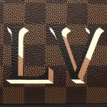 ルイヴィトン ショルダーバッグ レディース LOUIS VUITTON  ブラウン ブラック N40189