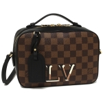ルイヴィトン ショルダーバッグ レディース LOUIS VUITTON  ブラウン ブラック N40189