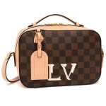 ルイヴィトン ショルダーバッグ レディース LOUIS VUITTON  ブラウン ピンク N40179