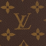ルイヴィトン LOUIS VUITTON オープンハンドバッグMM M44816