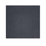 LOUIS VUITTON モノグラムXSマイ エブリシング デュオ ショール M76695