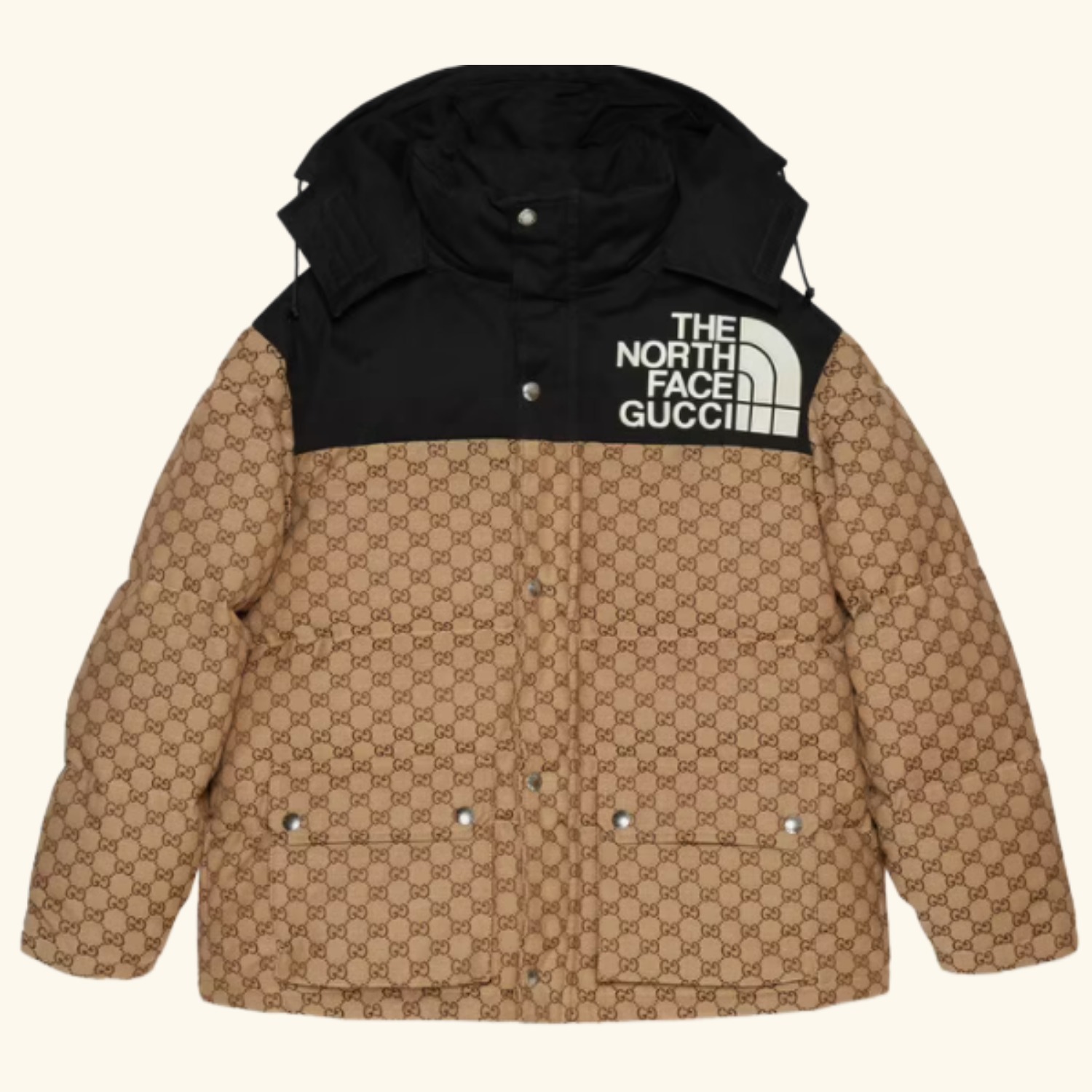THE NORTH FACE GUCCI GGキャンバス ダウンジャケット 670908