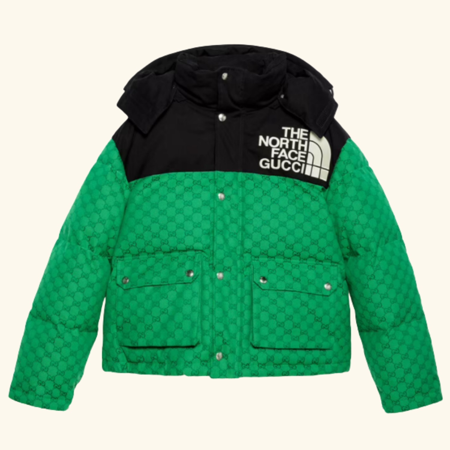 THE NORTH FACE GUCCI GGキャンバス ダウンジャケット 670908