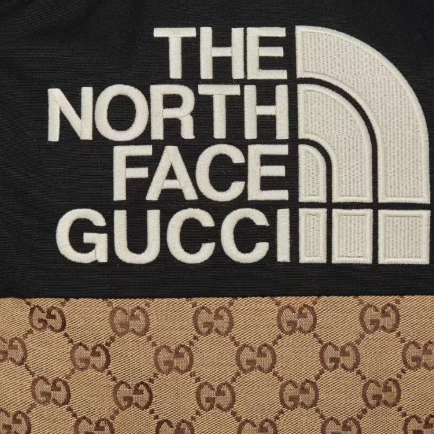 THE NORTH FACE GUCCI GGキャンバス ダウンジャケット 670908