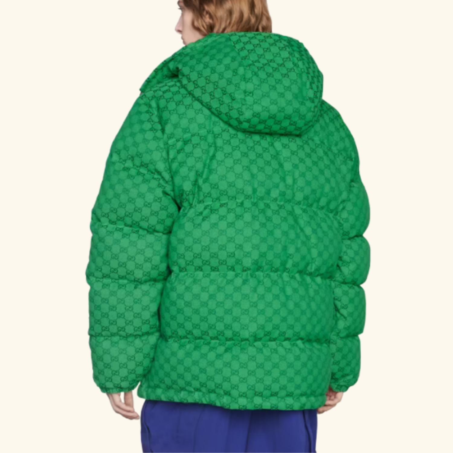 THE NORTH FACE GUCCI GGキャンバス ダウンコート 670766 Z8APX 3421