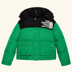 THE NORTH FACE GUCCI GGキャンバス ダウンジャケット 670908