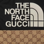 THE NORTH FACE GUCCI GGキャンバス ダウンジャケット 670908