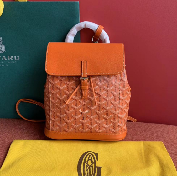 ゴヤール GOYARD MINI ミニサイズ バックパック　リュック　クラシック G20242310