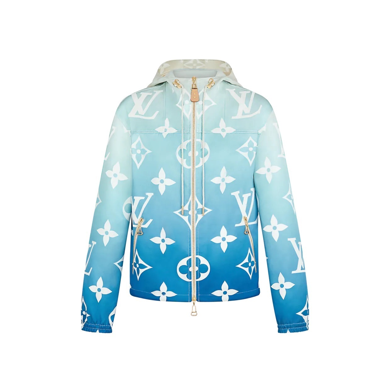 Louis Vuitton ブルーラグーンモノグラムパーカー 1A8TIG