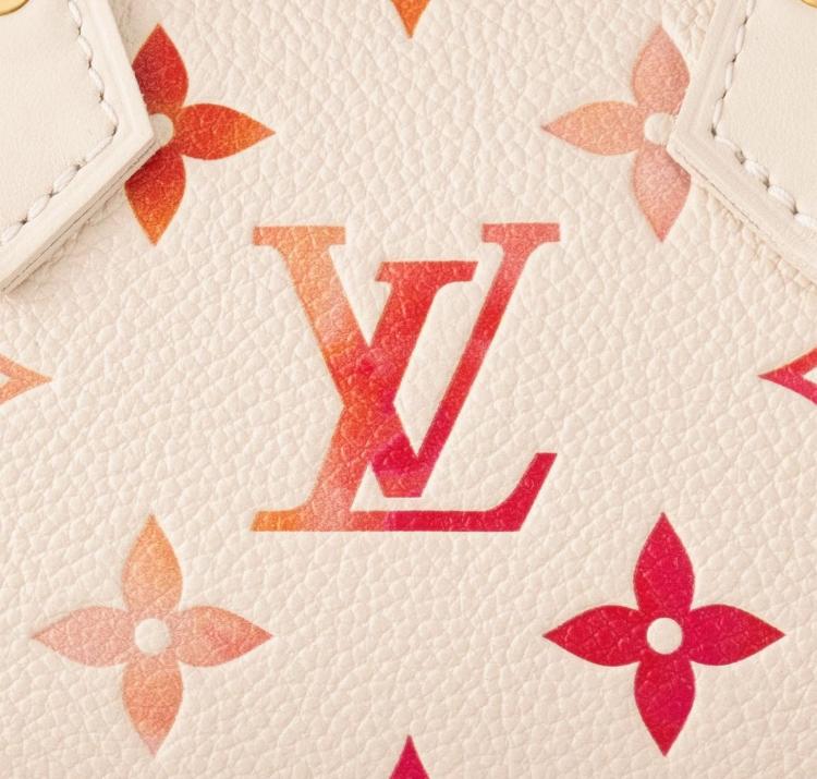 ルイヴィトン激安 Louis Vuitton キャリーオール ジップ　PM ハンドバッグ M24652