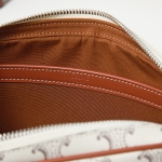 セリーヌショルダーバッグ Horizontal Messenger 194502BZK.04LE