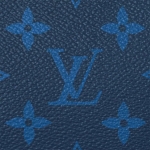LOUIS VUITTON キーポル バンドリエール 50 タイガ レザー ボストンバッグ M53763 M53766