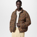 Louis Vuitton モノグラム ダウンジャケット ブラウン 1AFRC2