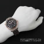 オメガ代引き シーマスター ダイバー300M コーアクシャル マスタークロノメーター 210.20.42.20.01.001