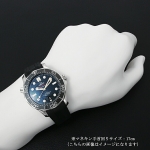 オメガ シーマスターダイバー300M コーアクシャル マスタークロノメーター 007 ジェームズ・ボンド 210.22.42.20.01.004