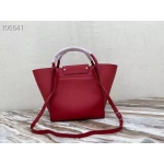 セリーヌ トートバッグ Small long strap Big Bag ビッグバッグ レディース 189313A4T.28LB