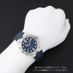 ブルガリ ディアゴノ プロフェッショナル スクーバ メンズ DP41C3SVSD