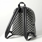 セリーヌ バックパック MEDIUM BACKPACK TRIOMPHE CANVAS メンズ リュック 188382FSZ.38AW