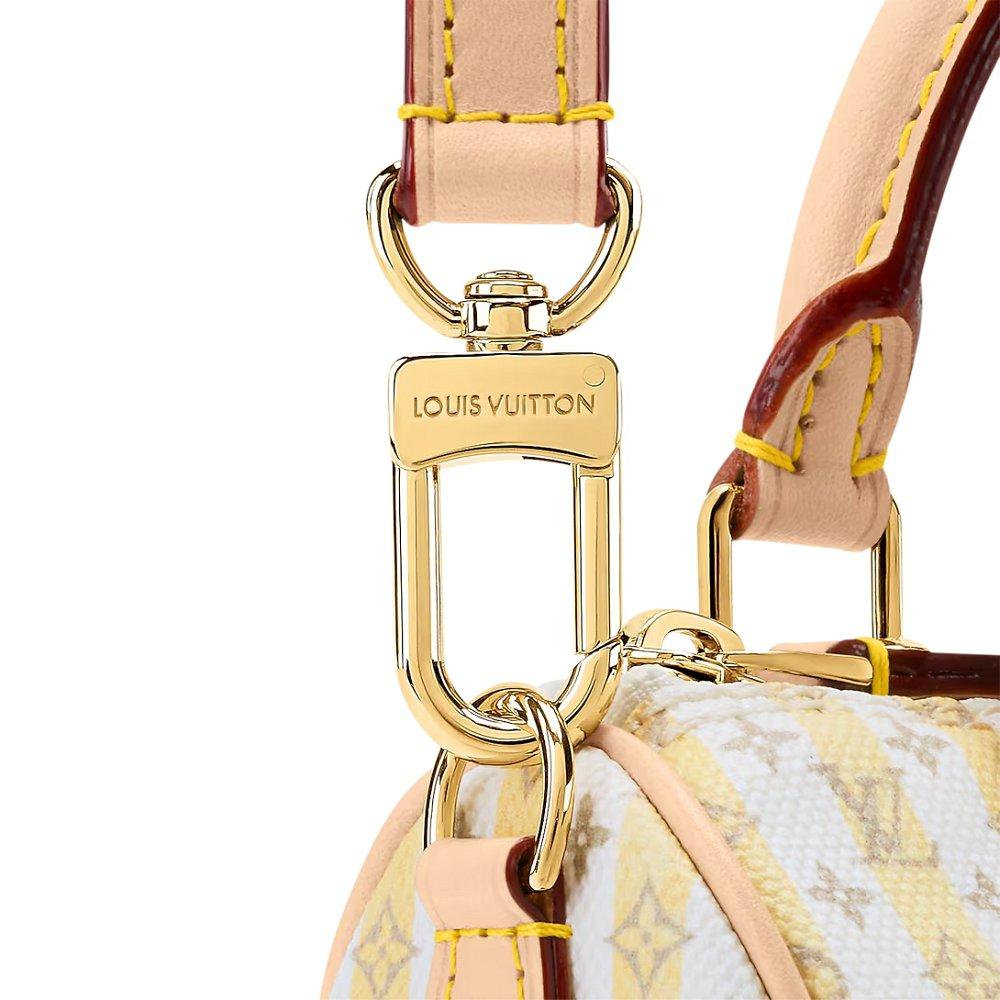 ルイヴィトン ナノ・スピーディ ショルダーバッグ 2WAY ミニバッグ M29030