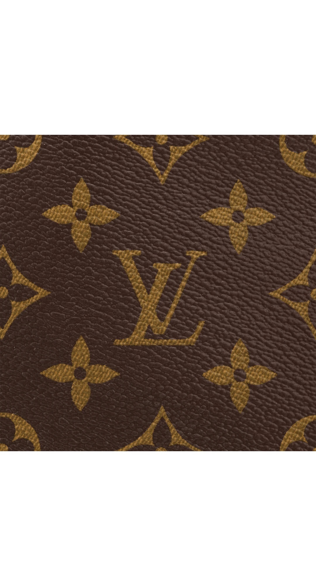 ルイヴィトン Louis Vuitton トートバッグ キャリーオール NM PM M46203
